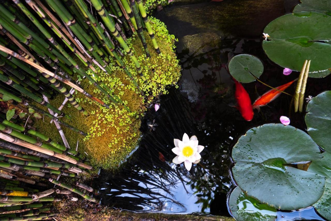 La Martinoise Garden Hotel Saint-Martin-de-Re Ngoại thất bức ảnh